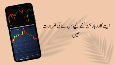 businesses without investment