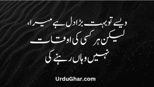 Attitude Quotes In Urdu