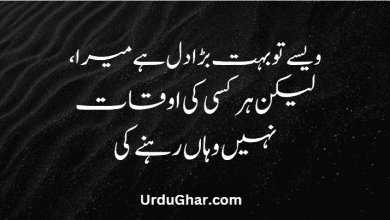 Attitude Quotes In Urdu Attitude Quotes In Urdu
