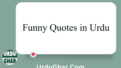 Funny Quotes in Urdu text Funny Quotes in Urdu