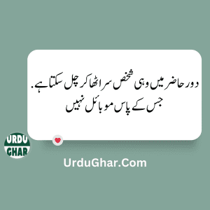 Funny Quotes in urdu 13