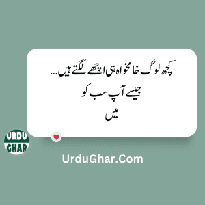 Funny Quotes in urdu 4