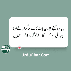 Funny Quotes in urdu 5