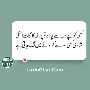 Funny Quotes in urdu 6