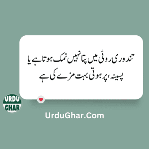 Funny Quotes in urdu 