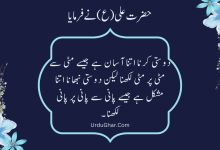 Hazrat Ali Quotes In Urdu