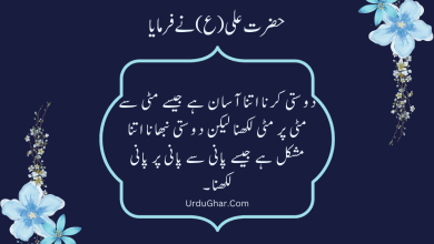Hazrat Ali Quotes In Urdu