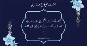 Hazrat Ali Quotes In Urdu