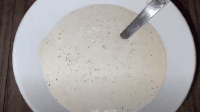 Homemade Mayonnaise Recipe in Urdu