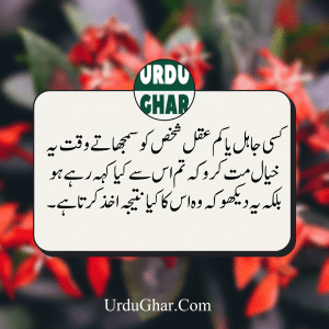 Islamic Quotes in urdu