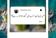 Meri Halat E Khrab urdu bio for instagram