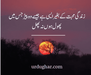 Motivational-Quotes-in-urdu