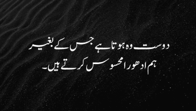 friendship quotes in urdu friendship quotes in urdu