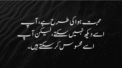 love quotes in urdu 2 love quotes in urdu