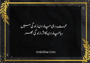 two line urdu poetry about life