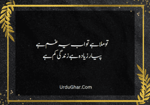 two line urdu poetry status about life