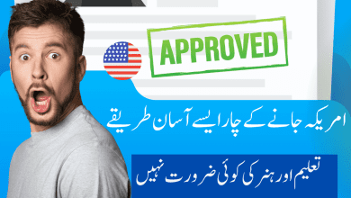 Visa from Pakistan with No Education, English