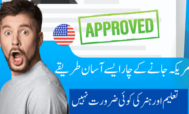 Visa from Pakistan with No Education English Visa from Pakistan with No Education, English
