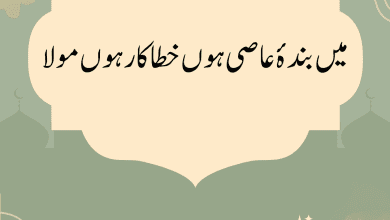 میں بندۂ عاصی ہوں نعت میں بندۂ عاصی ہوں نعت