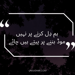 Hum Dil karne par nahin Hum Dil karne par nahin