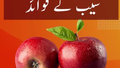 health benefits of apple health benefits of apple