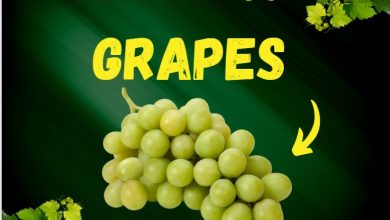 health benefits of grapes health benefits-of-grapes