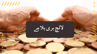 greed is a curse لالچ بری بلا ہے کہانی