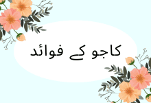 Benefits of Cashews Benefits of Cashews