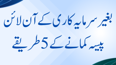 make-money-online-without-investment-in-pakistan