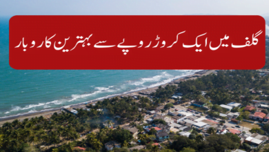 best-business-to-start-in-gulf-with-one-crore-rupees