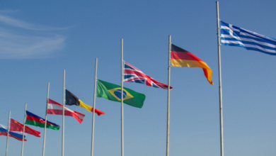 how to get citizenship in another country with low cost