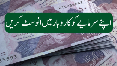 best-investment-strategies-to-secure-your-money