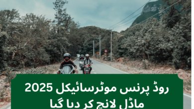 road-prince-2025-model-launch-cheaper-than-honda-cd70