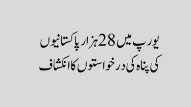 pakistani asylum applications europe pakistani-asylum-applications-europe