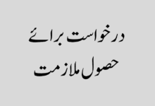 درخواست برائے حصول ملازمت