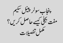 وزیر اعلیٰ پنجاب مفت سولر پینل اسکیم