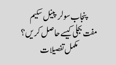 CM Punjab Free Solar Panel Scheme وزیر اعلیٰ پنجاب مفت سولر پینل اسکیم