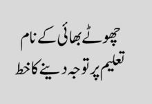 Chote Bhai Ke Naam Khat Taleem Par Tawajo چھوٹے بھائی کے نام تعلیم پر توجہ دینے کا خط