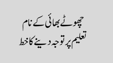 Chote Bhai Ke Naam Khat Taleem Par Tawajo چھوٹے بھائی کے نام تعلیم پر توجہ دینے کا خط