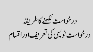 درخواست لکھنے کا طریقہ