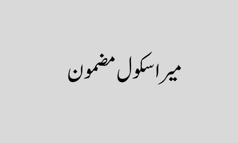 Essay On My School In Urdu میرا سکول مضمون