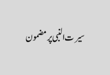 سیرت النبی پر مضمون