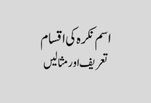 Isam Nakra ki Iqsam aur Tareef in Urdu اسم نکرہ کی اقسام