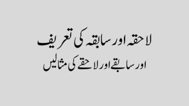Lahqay our sabkey in urdu سابقے اور لاحقے