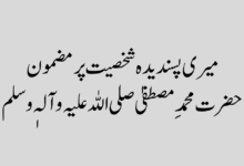میری پسندیدہ شخصیت پر مضمون