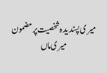 میری پسندیدہ شخصیت میری ماں پر مضمون