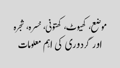 Common Land and Property Terms موضع، کھیوٹ، کھتونی، خسرہ، شجرہ اور گردوری