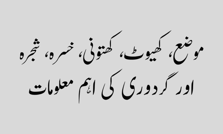 Common Land and Property Terms موضع، کھیوٹ، کھتونی، خسرہ، شجرہ اور گردوری