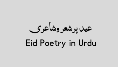 Eid Poetry in Urdu Eid Poetry in Urdu -عید پرشعر وشاعری بہترین اشعار