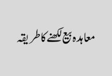 How to write a contract of sale in Urdu معاہدہ بیع لکھنے کا طریقہ